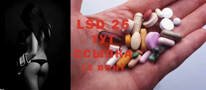 кракен как войти  Белореченск  LSD-25 экстази ecstasy 