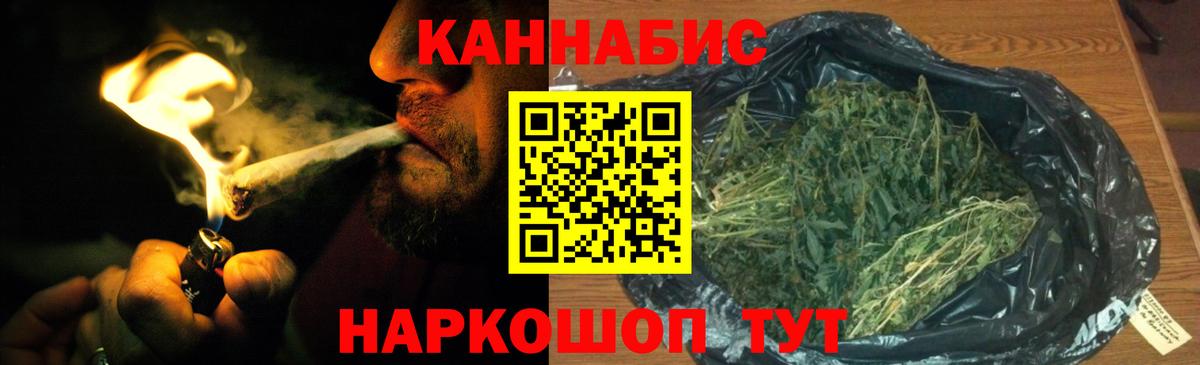 Бошки марихуана семена Белореченск